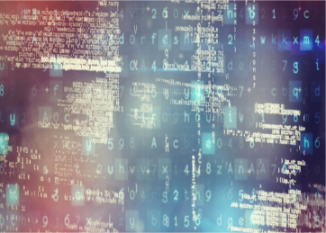 日本人スタッフによる入力作業